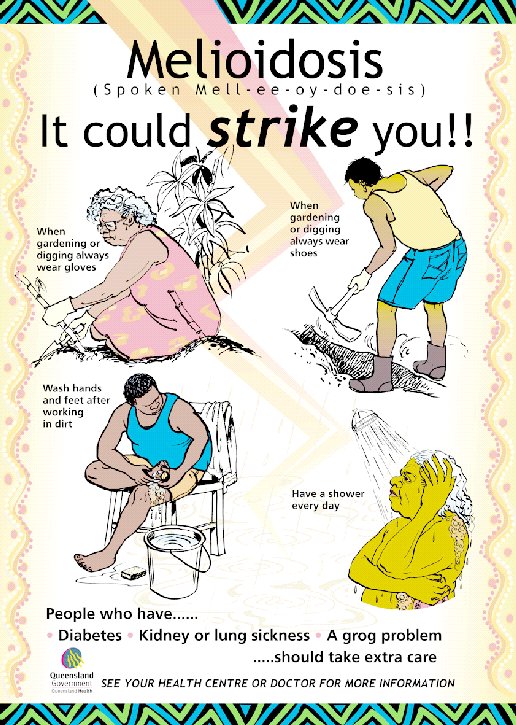 Figure 2. Public education poster for melioidosis prevention