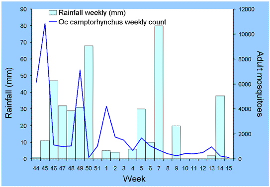Figure 5. Relationship between mean weekly numbers of Oc. camptorhynchus per trap during the 2001/2002 season and weekly rainfall in Wellington Shire