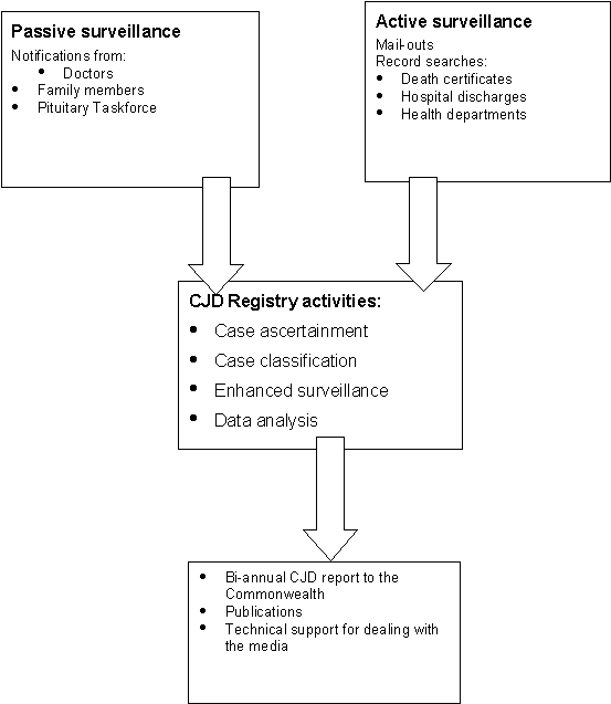 Figure. The Australian national CJD surveillance information flow chart