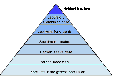 Figure 1. Communicable disease surveillance pyramid