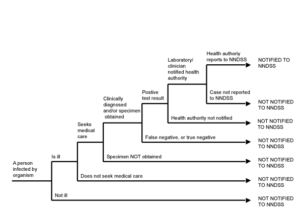 Figure 1:  Communicable diseases notifiable fraction