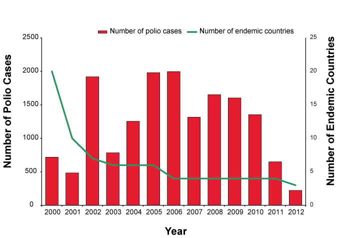 Figure 3: Cases of wild polio virus infection in endemic countries, 2000 to 2012, by year
