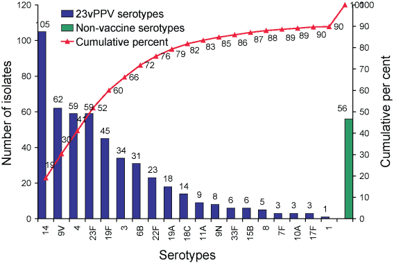 Figure 5b. Serotypes responsible for invasive pneumococcal disease in cases aged 65 years or more, Australia, 2004