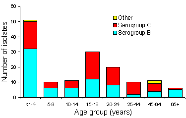 Figure 2. Number of isolates of invasive meningococci, New South Wales, 1997, by age and serogroup