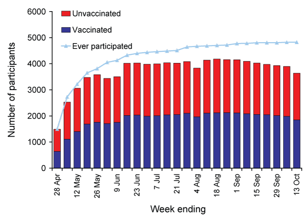 Number of participants who had ever participated in the survey in 2008 and weekly number of participants, by influenza vaccination status