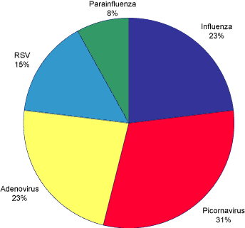 Figure 7. The distribution of respiratory viruses detected in the samples collected from the Emergency Department, Royal Children&rsquo;s Hospital