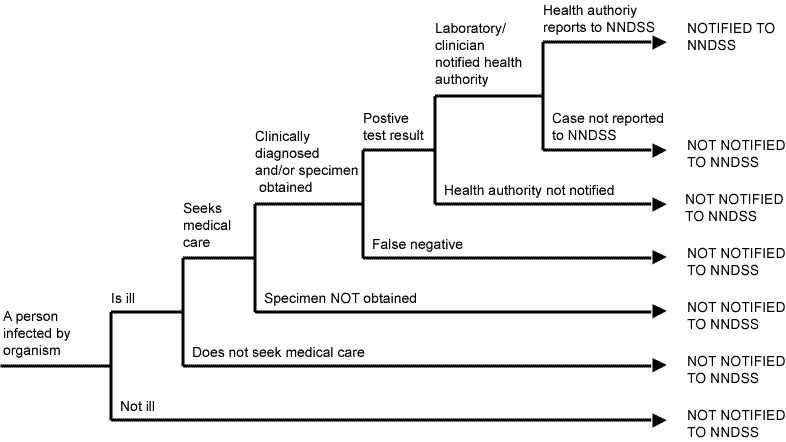 Figure 1. Communicable diseases notification fraction