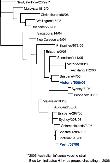 Figure 9. Evolutionary relationships between influenza A(H1) haemagglutinins (HA1 region)