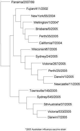 Figure 9.  Evolutionary relationships between  influenza A(H3) haemagglutinins (HA1 region)