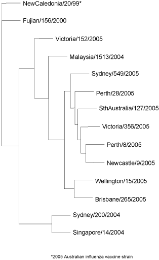 Figure 10.  Evolutionary relationships between  influenza A(H1) haemagglutinins (HA1 region)