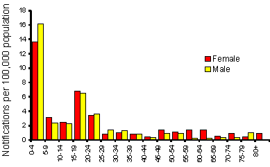 Bar chart. Trends described in paragraph above