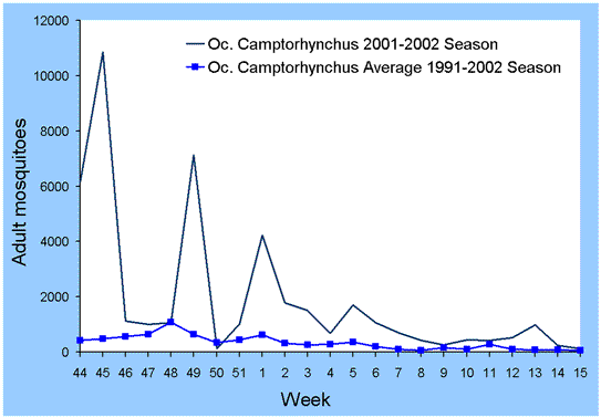 Figure 3. Mean weekly numbers of Oc. camptorhynchus per trap during the 2001/2002 season compared with overall mean for 1991/1992 to 2001/2002, Wellington Shire